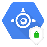 Google-Managed SSL TLS certificate with automatic renewal